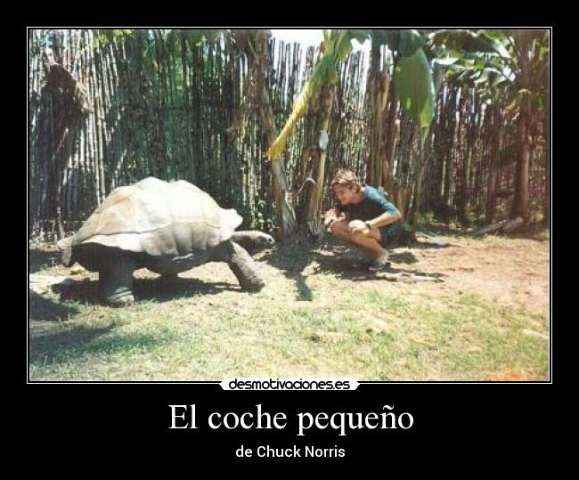 El coche pequeño - de Chuck Norris