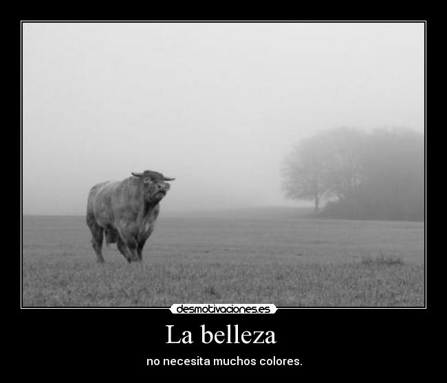 La belleza  - 