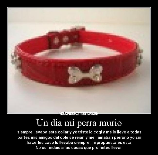 Un dia mi perra murio - siempre llevaba este collar y yo triste lo cogi y me lo lleve a todas
partes mis amigos del cole se reian y me llamaban perruno yo sin
hacerles caso lo llevaba siempre: mi propuesta es esta
No os rindais a las cosas que prometes llevar 