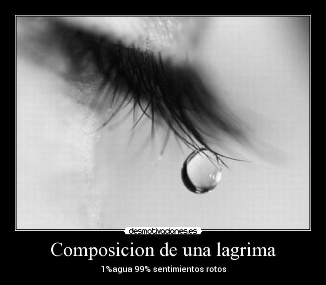 Composicion de una lagrima - 