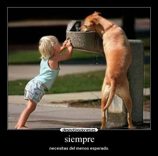 carteles yumi_r ciefo desmotivaciones