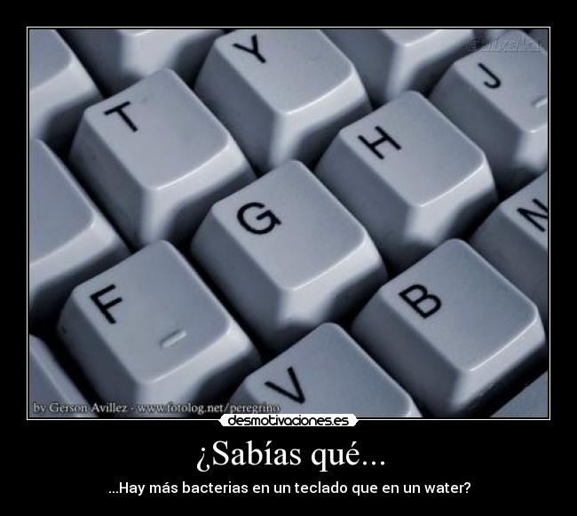 ¿Sabías qué... -