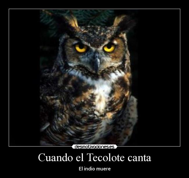 Opiniones de Tecolote