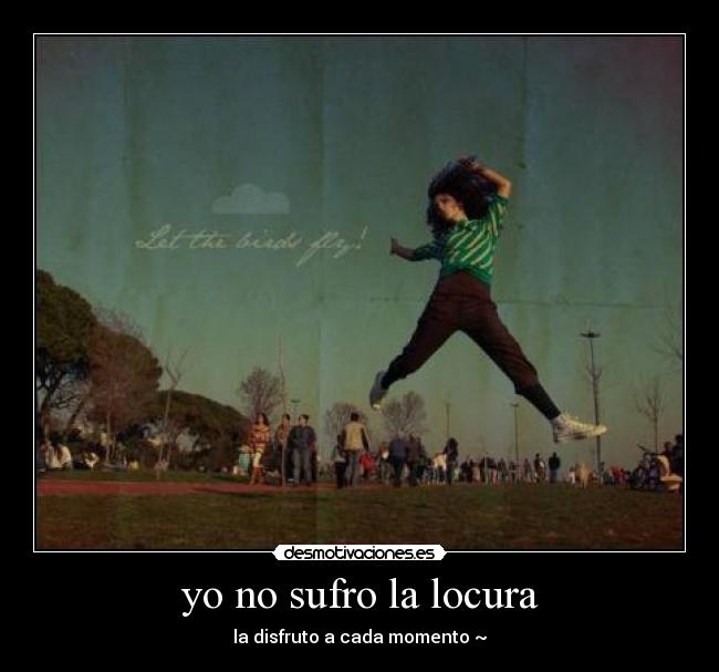 yo no sufro la locura - la disfruto a cada momento ~