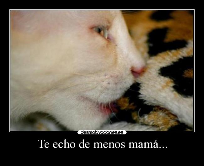 Te echo de menos mamá... - 