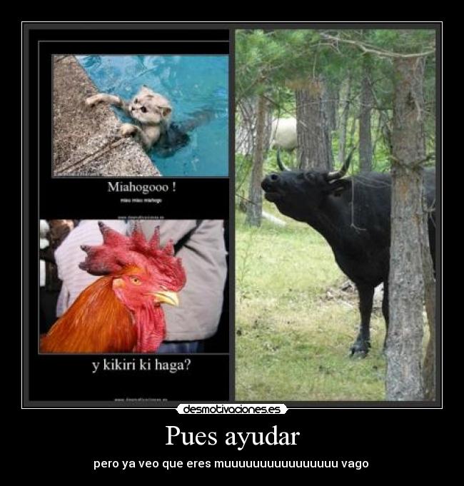 Pues ayudar - pero ya veo que eres muuuuuuuuuuuuuuuu vago 
