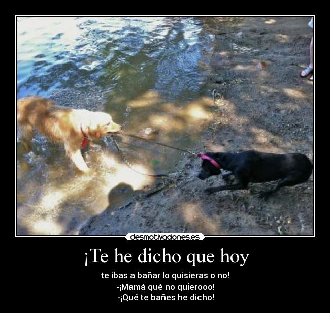 ¡Te he dicho que hoy -