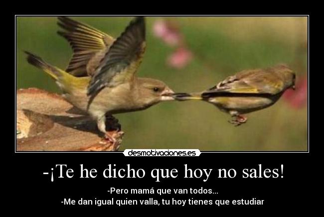 -¡Te he dicho que hoy no sales! - -Pero mamá que van todos...
-Me dan igual quien valla, tu hoy tienes que estudiar