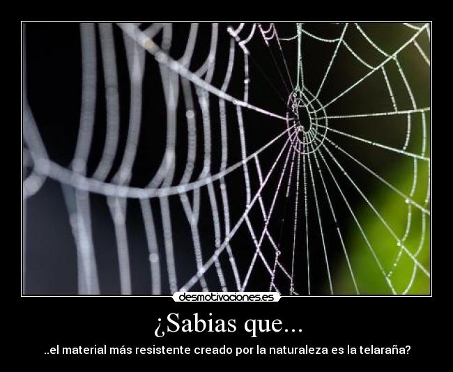 ¿Sabias que... - 