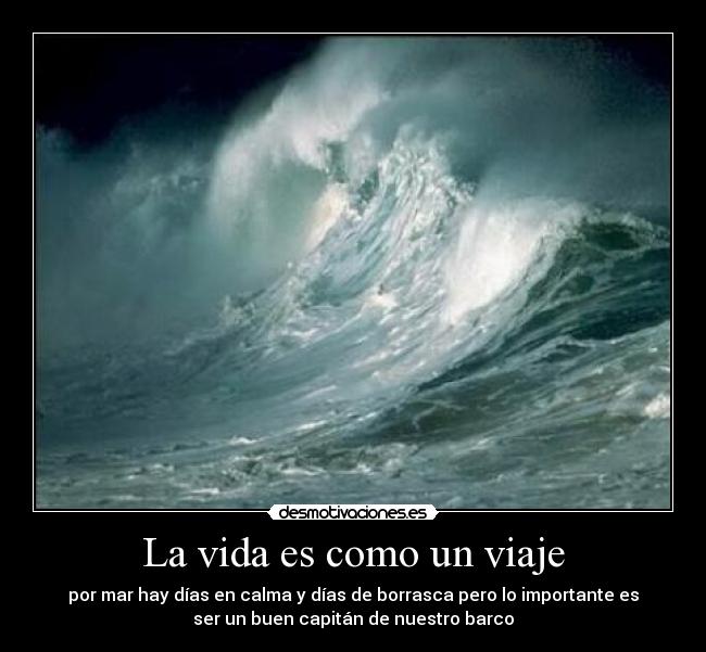 carteles vida vida desmotivaciones