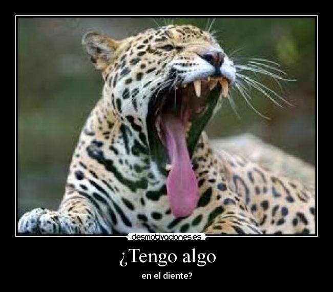 carteles tengo algoen diente desmotivaciones