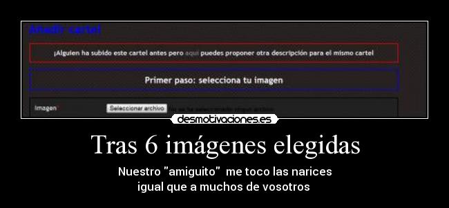 Tras 6 imágenes elegidas -
