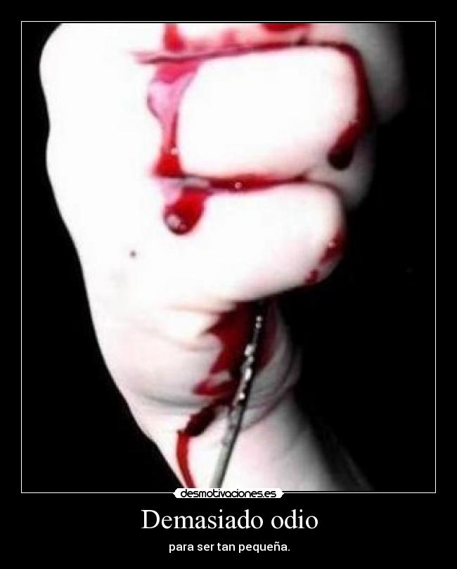 Demasiado odio -