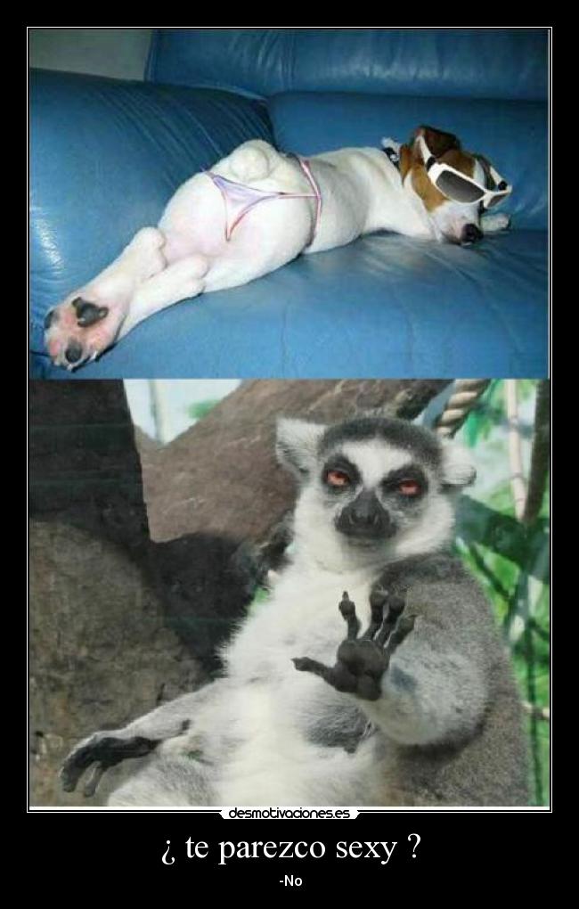 ¿ te parezco sexy ? -