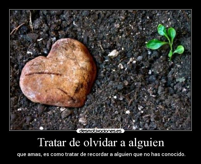 Tratar de olvidar a alguien - que amas, es como tratar de recordar a alguien que no has conocido.