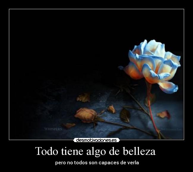 carteles blacker desmotivaciones