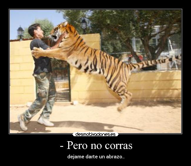 - Pero no corras - dejame darte un abrazo..