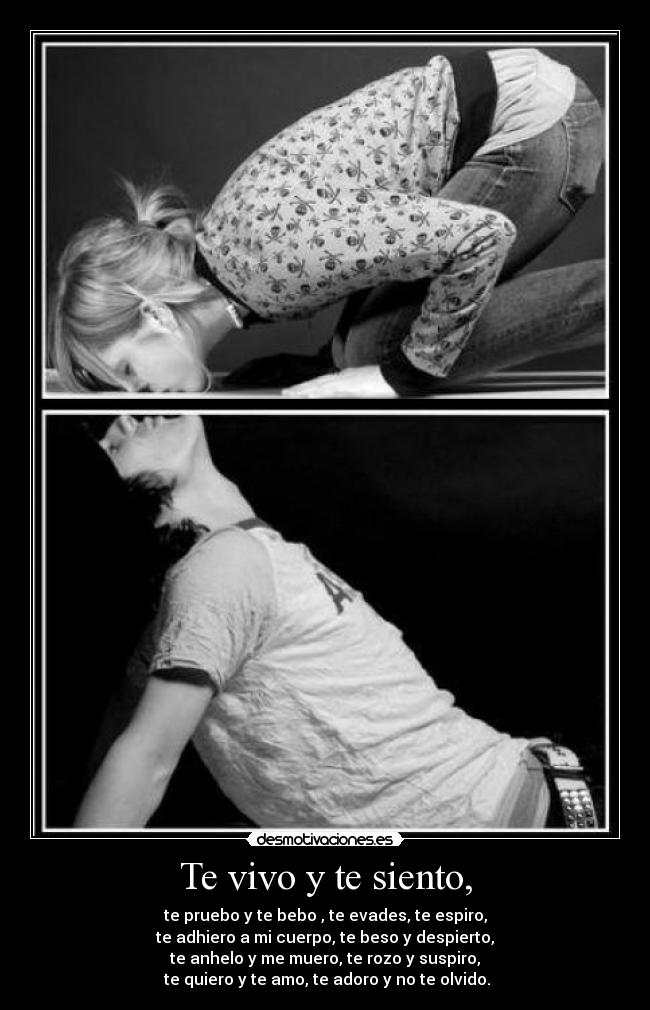 carteles vivo siento desmotivaciones