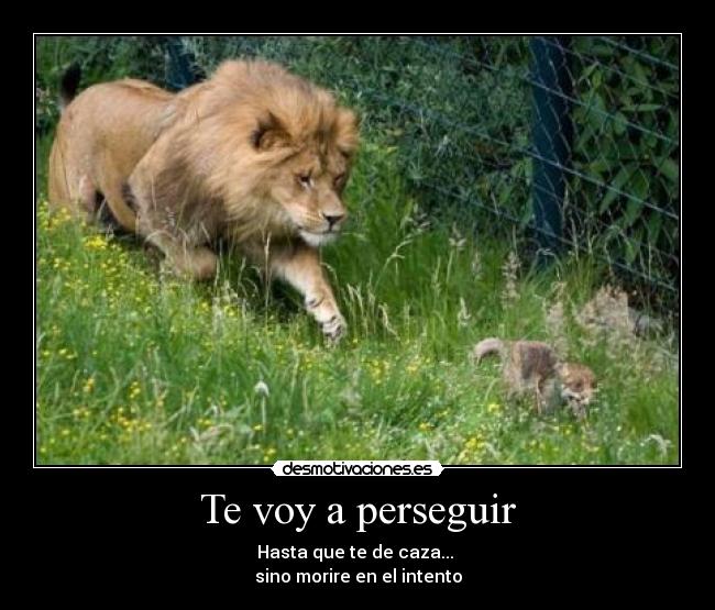 Te voy a perseguir - Hasta que te de caza...
sino morire en el intento