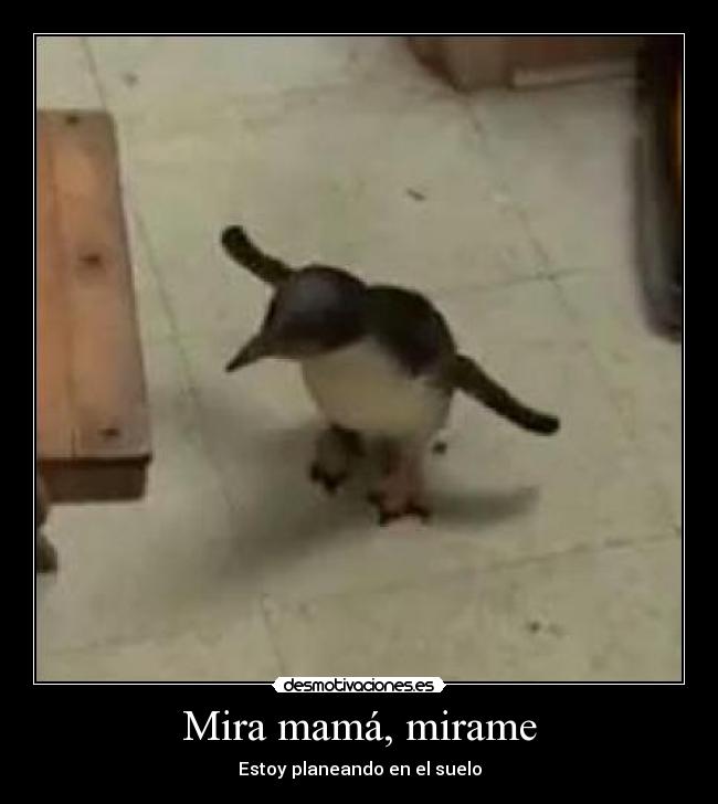 Mira mamá, mirame - 