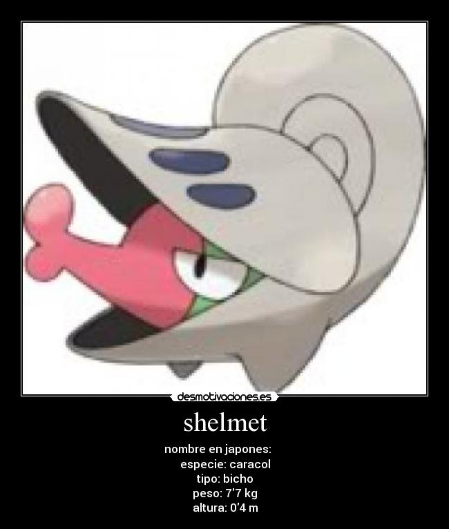 shelmet - nombre en japones: チョボマキ
especie: caracol
tipo: bicho
peso: 77 kg
altura: 04 m