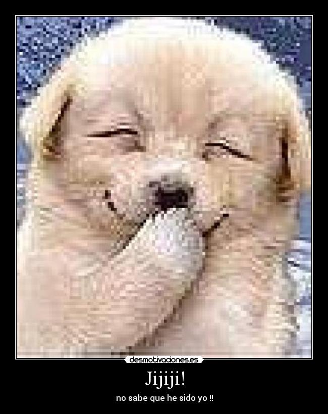 Jijiji! - no sabe que he sido yo !!