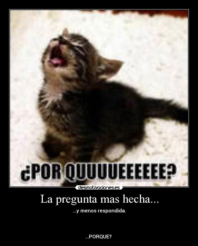 La pregunta mas hecha... - ...y menos respondida.



...PORQUE? 