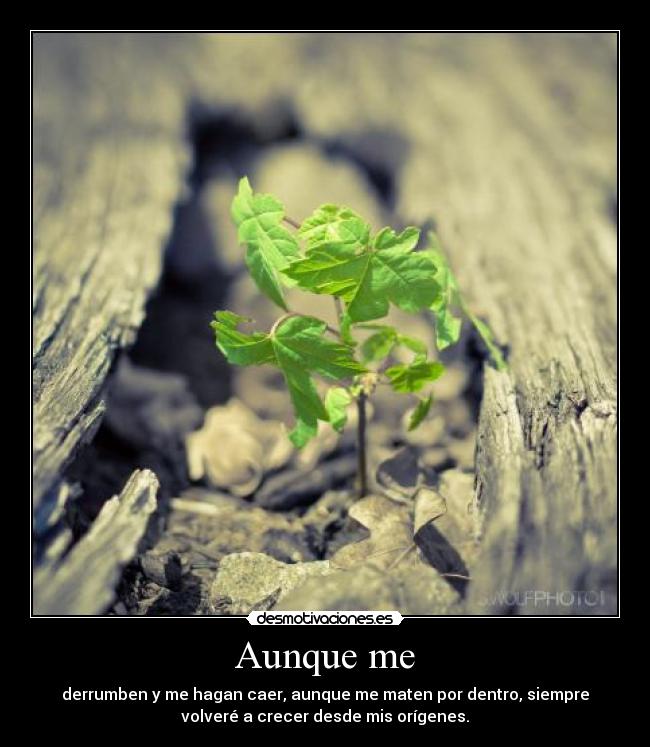 carteles aunque derrumben desmotivaciones