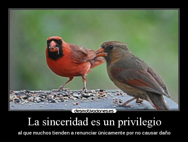 La sinceridad es un privilegio - al que muchos tienden a renunciar únicamente por no causar daño