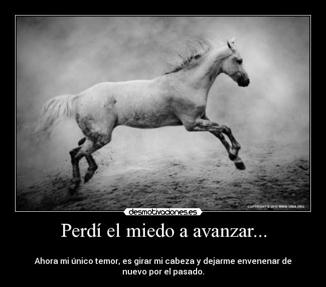 carteles miedo correr desmotivaciones