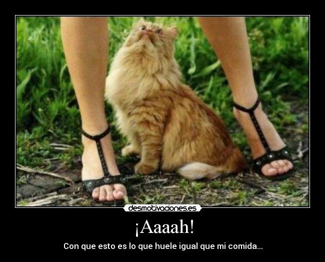 ¡Aaaah! -