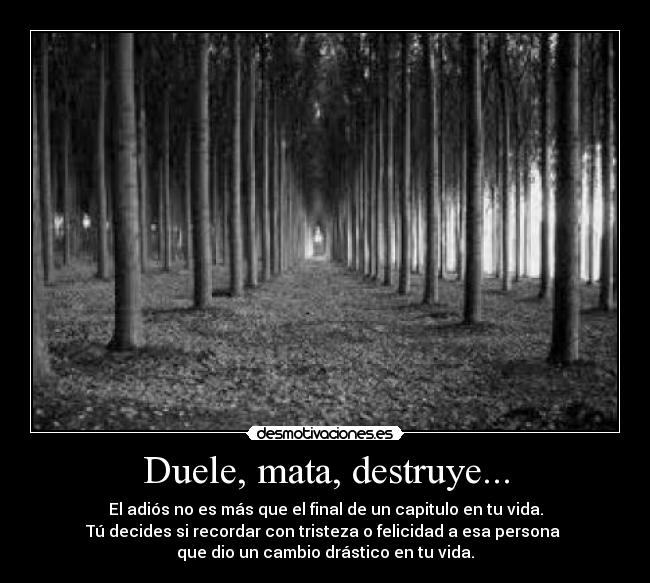 Duele, mata, destruye... -