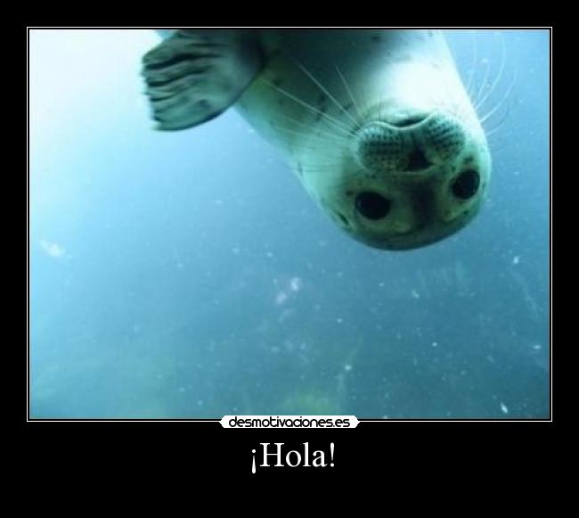 ¡Hola! - 