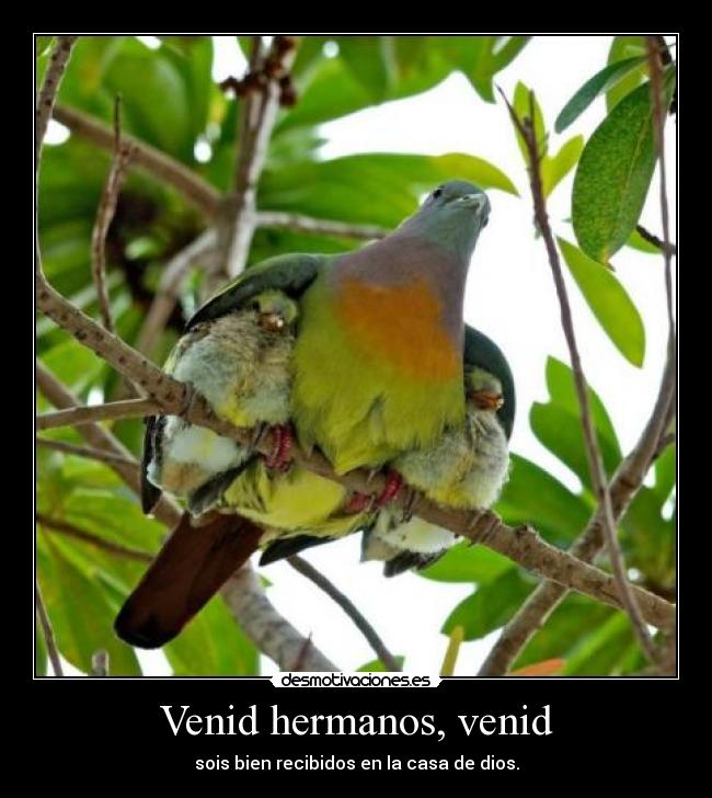 Venid hermanos, venid - sois bien recibidos en la casa de dios.