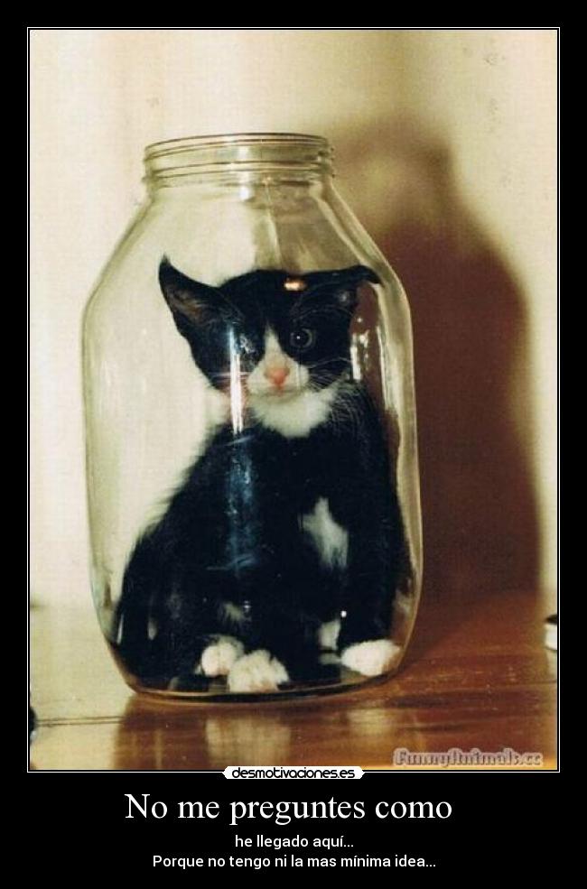 No me preguntes como - he llegado aquí...
Porque no tengo ni la mas mínima idea...