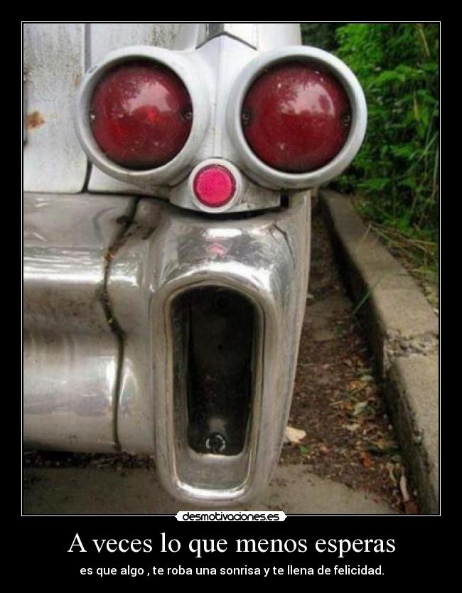 A veces lo que menos esperas - 