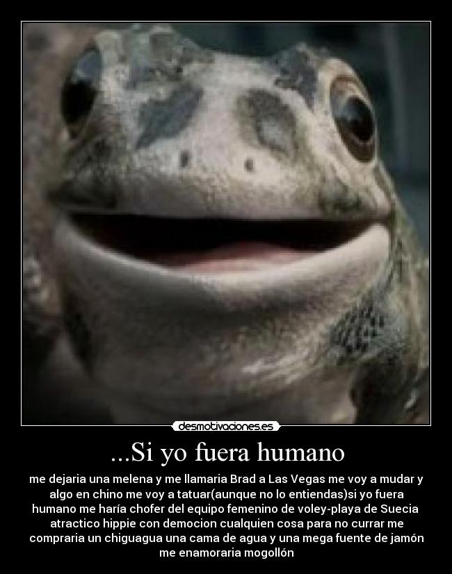 ...Si yo fuera humano - me dejaria una melena y me llamaria Brad a Las Vegas me voy a mudar y
algo en chino me voy a tatuar(aunque no lo entiendas)si yo fuera
humano me haría chofer del equipo femenino de voley-playa de Suecia
atractico hippie con democion cualquien cosa para no currar me
compraria un chiguagua una cama de agua y una mega fuente de jamón
me enamoraria mogollón