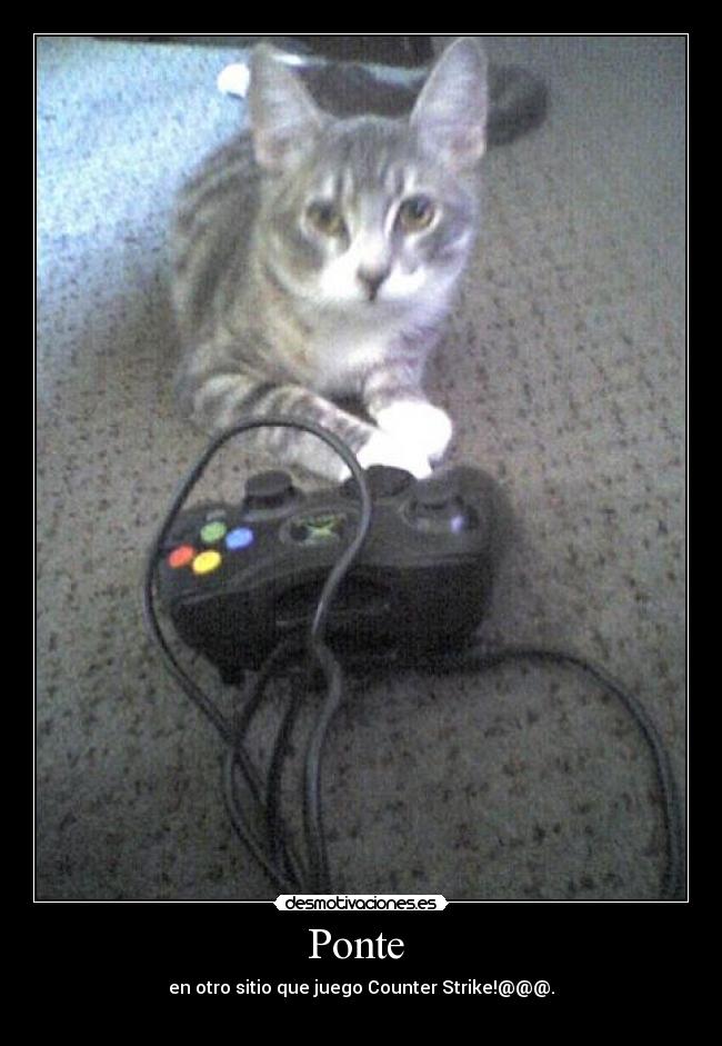 Ponte  - en otro sitio que juego Counter Strike!@@@.
 