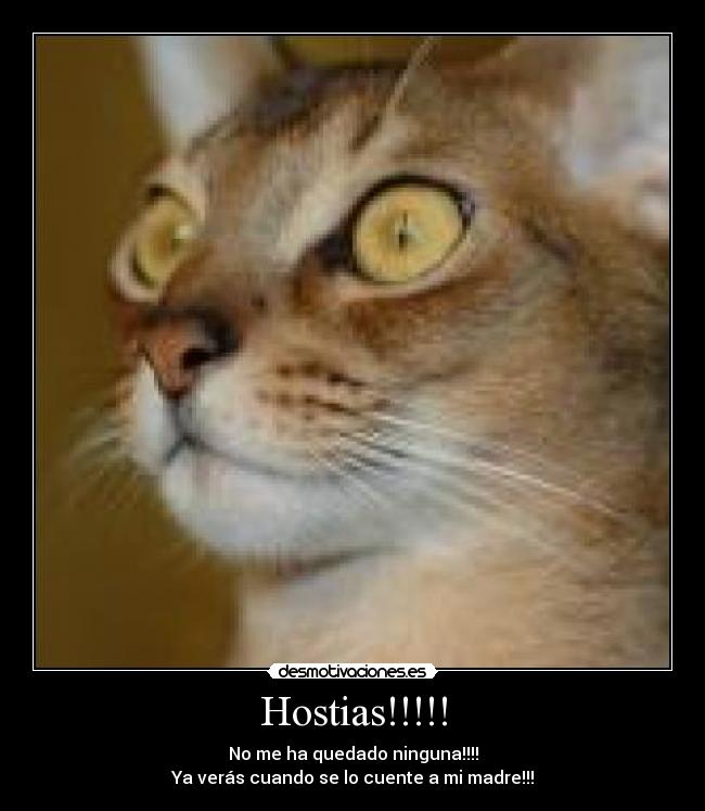 Hostias!!!!! - 