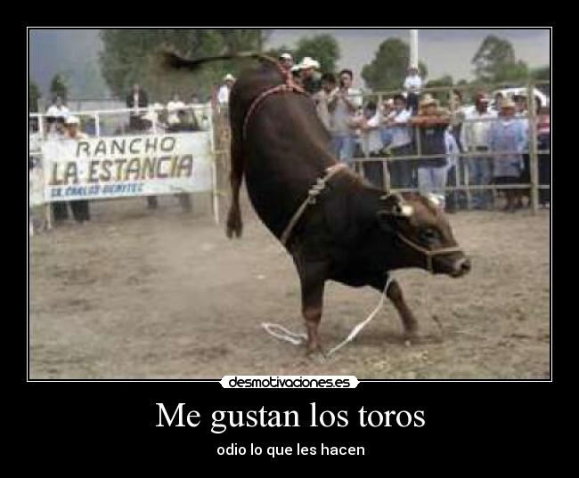 Me gustan los toros - odio lo que les hacen