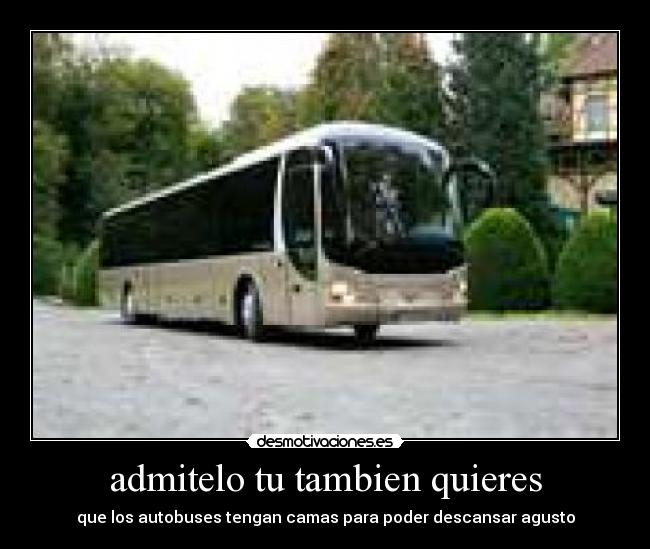 admitelo tu tambien quieres - que los autobuses tengan camas para poder descansar agusto