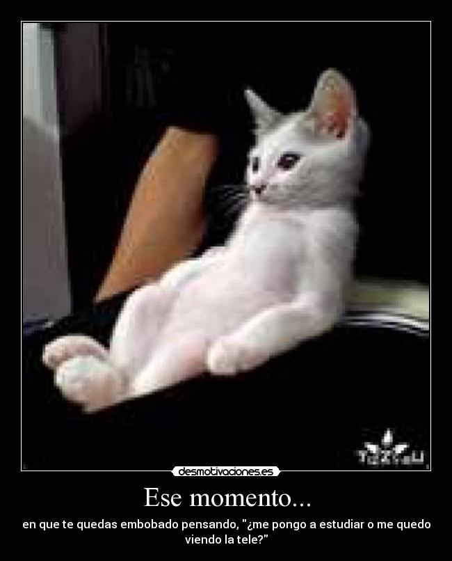 Ese momento... - 