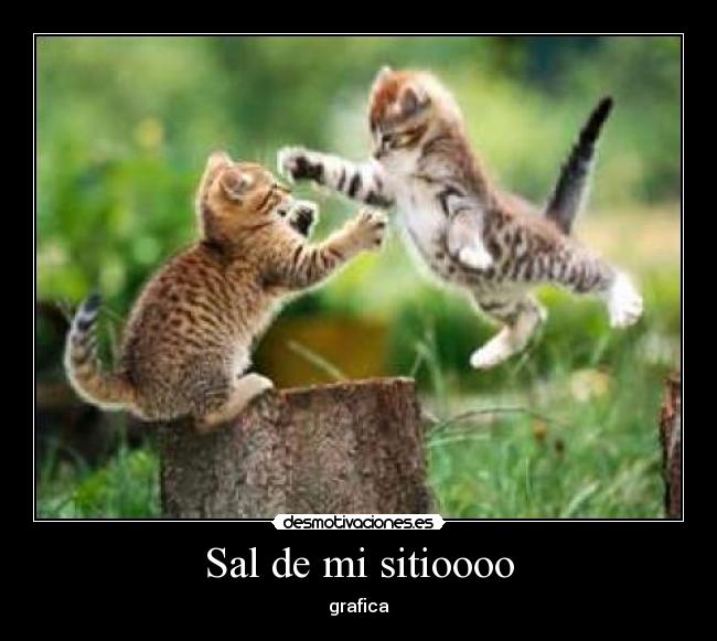Sal de mi sitioooo - grafica