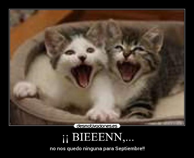 ¡¡ BIEEENN,... - 