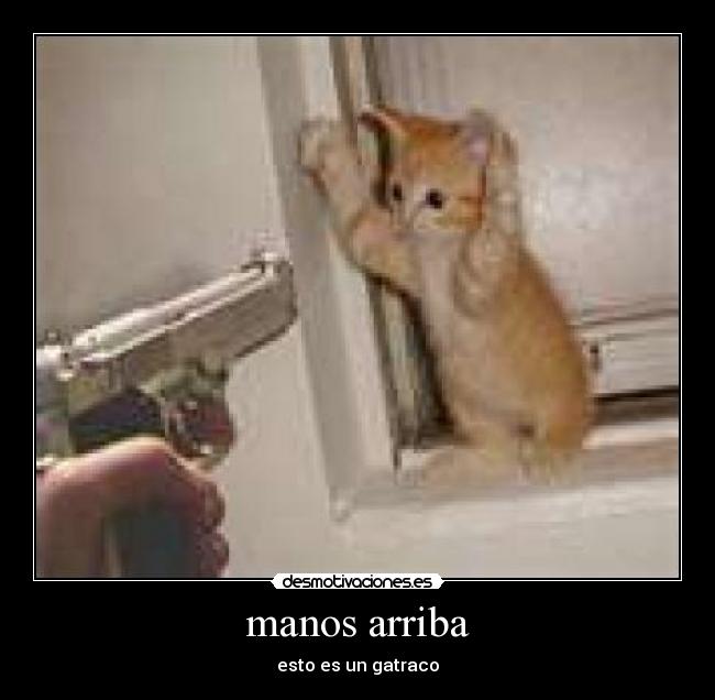 manos arriba - 
