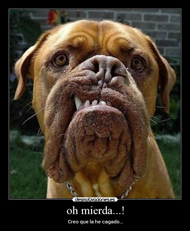 oh mierda...! - Creo que la he cagado...