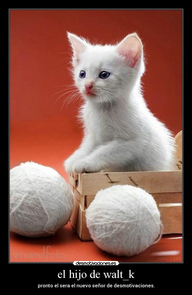 el hijo de walt_k - 