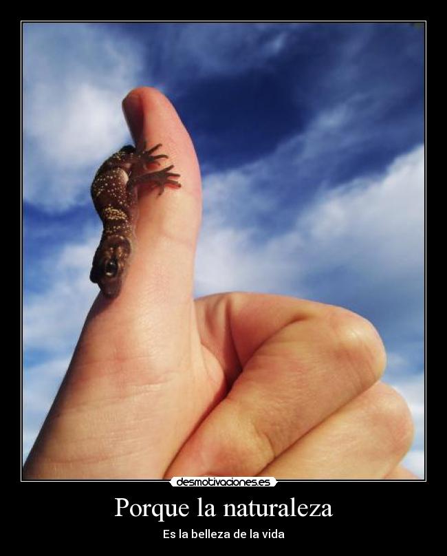 Porque la naturaleza - Es la belleza de la vida