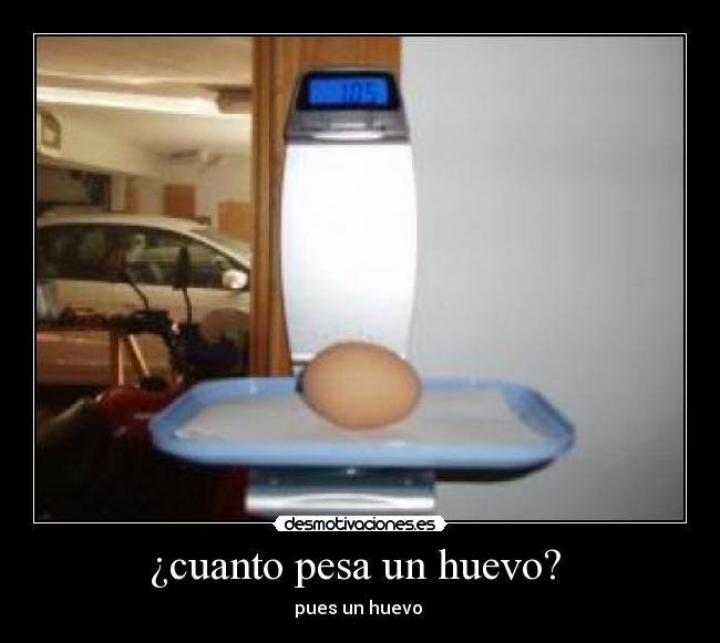 ¿cuanto pesa un huevo? - pues un huevo