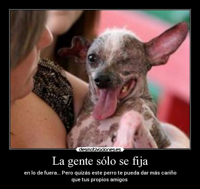 La gente sólo se fija - en lo de fuera... Pero quizás este perro te pueda dar más cariño
que tus propios amigos